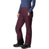 Columbia womens Bugaboo II Pant(Moonvista)