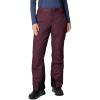 Columbia womens Bugaboo II Pant(Moonvista)