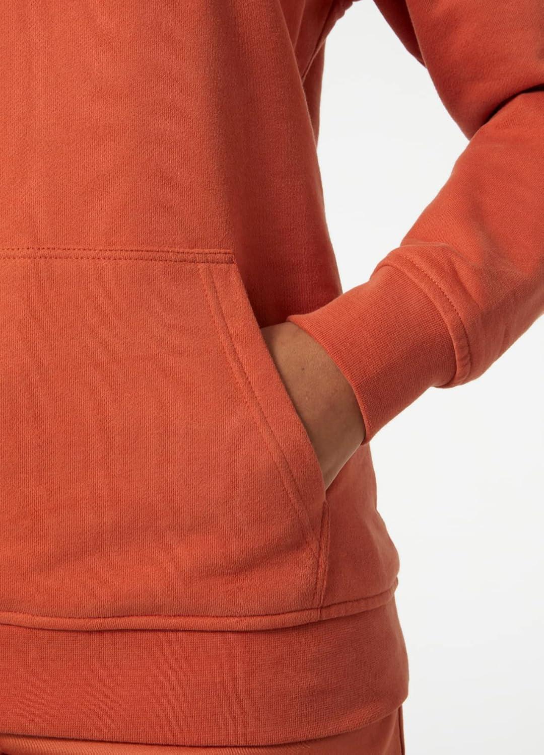 imageHelly Hansen W Hh Logo Hoodie179 Terracotta