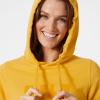 Helly Hansen W Hh Logo Hoodie(341 Honeycomb)