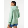 Helly Hansen W Hh Logo Hoodie(419 Mint)