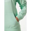 Helly Hansen W Hh Logo Hoodie(419 Mint)