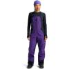 Burton Men’s Reserve Gore-TEX 2L Pants(Prism Violet / True Black)