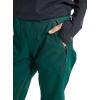 Burton womens Vida 2l Pants(Botanical Garden)