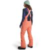 Burton womens Women’s Avalon Gore-tex Bib Pants(Pink)