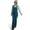 Burton womens Women’s Avalon Stretch Bib Pants(Deep Emerald)