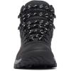 Columbia Women’s Newton Ridge Plus Waterproof Amped Hiking Boot(Black/Chalk)