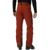 Helly-Hansen Alpha LIFALOFT Insulated Ski Pant – Waterproof Snow Pants – LIFALOFT Warmth & Winter Trousers for Men(301 Iron Oxide)