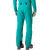 Helly-Hansen Alpha LIFALOFT Insulated Ski Pant – Waterproof Snow Pants – LIFALOFT Warmth & Winter Trousers for Men(466 Signal Green)
