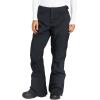 Roxy womens Backyard Snow Pant – 10k Waterproof Ski & Snowboard Pants, Pfas-free, Tailored Fit, Insulated(Onyx)