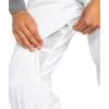 Roxy womens Backyard Snow Pant – 10k Waterproof Ski & Snowboard Pants, Pfas-free, Tailored Fit, Insulated(White)