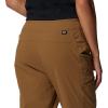 Mountain Hardwear Women’s Dynama Lined High Rise Pant for Hiking, Camping, and Outdoor Adventures(Corozo Nut)