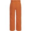 Quiksilver boys Heavyweight Ski Snow Estate Pant, Insulated & Waterproof(Amberglow Estate)