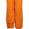 Quiksilver boys Heavyweight Ski Snow Estate Pant, Insulated & Waterproof(Estate Orange Pepper)