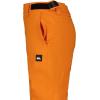 Quiksilver boys Heavyweight Ski Snow Estate Pant, Insulated & Waterproof(Estate Orange Pepper)