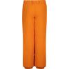 Quiksilver boys Heavyweight Ski Snow Estate Pant, Insulated & Waterproof(Estate Orange Pepper)