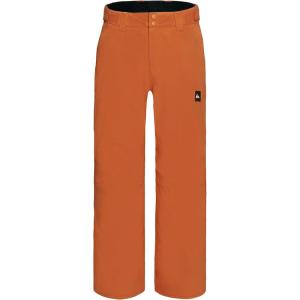 Quiksilver boys Heavyweight Ski Snow Estate Pant, Insulated & Waterproof(Amberglow Estate)