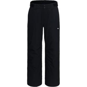 Quiksilver boys Heavyweight Ski Snow Estate Pant, Insulated & Waterproof(Black Estate)