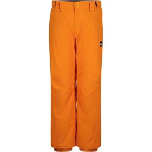 Quiksilver boys Heavyweight Ski Snow Estate Pant, Insulated & Waterproof(Estate Orange Pepper)