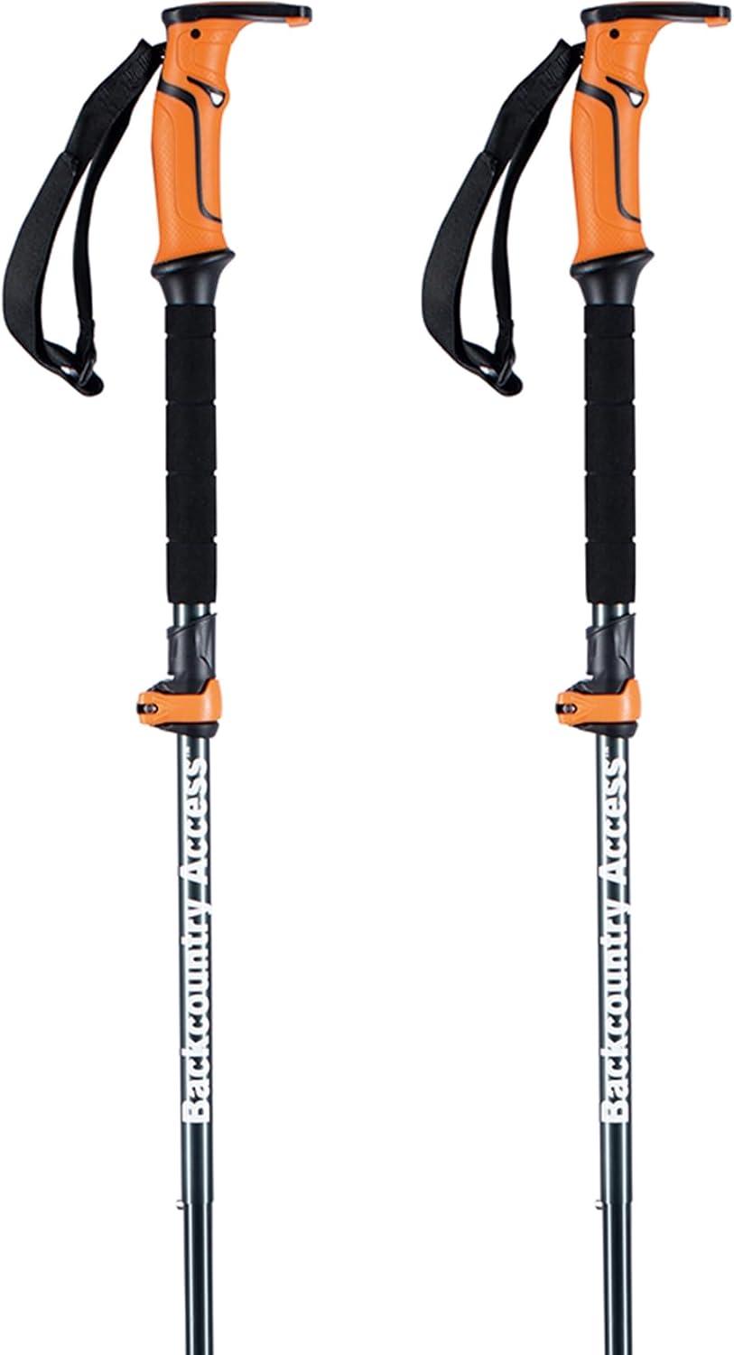 imageBackcountry Access Scepter 4S