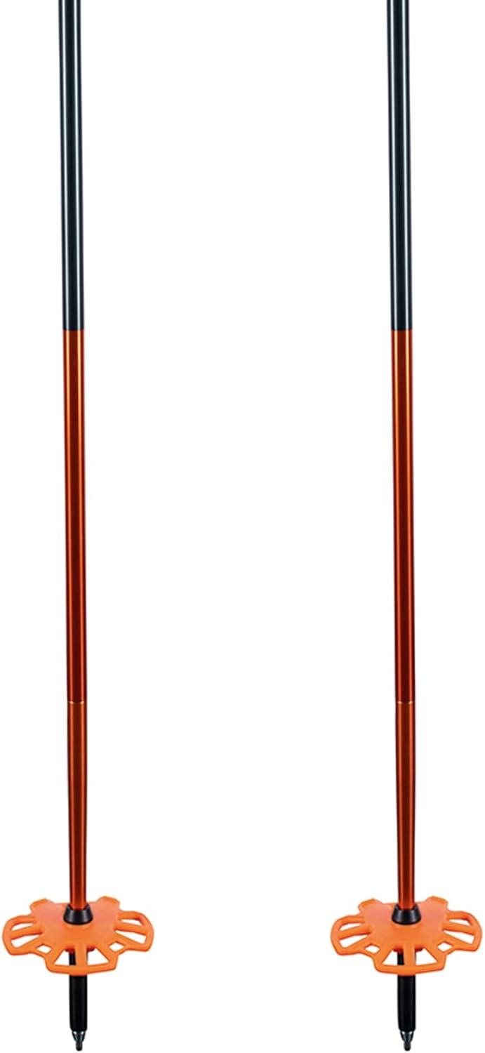 imageBackcountry Access Scepter 4S